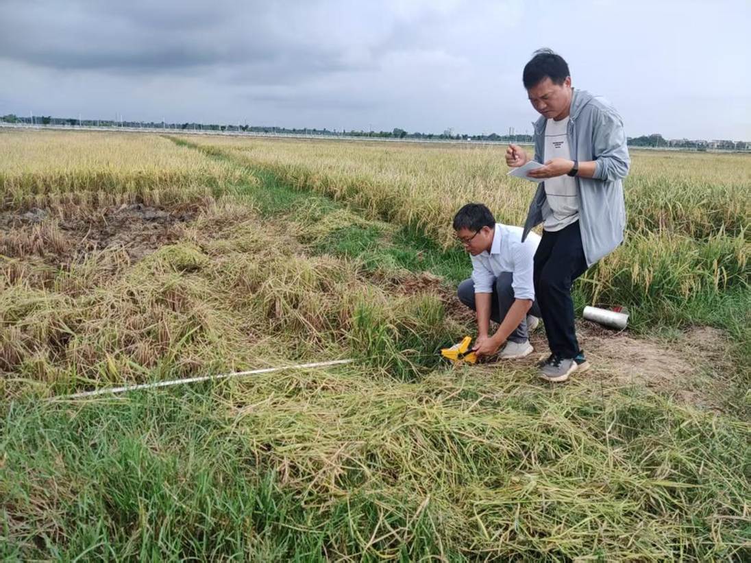 be33684bbbc6c15877bea21761f7361